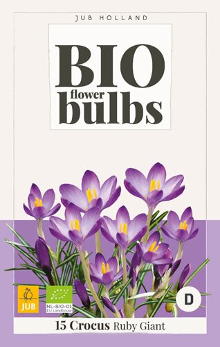 Bio crocus tomm. ruby giant 15st