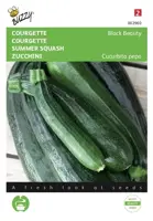 Courgette black beauty 5g