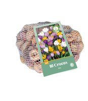 Crocus mix 60st