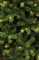 Kerstboom Charlton led groen ↕230  ↔ 135 - afbeelding 2