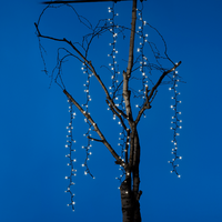 Led tree cascade comp. l200c zw/wwt - afbeelding 3