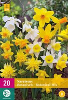 Narcissus botanisch mix 20st