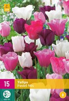 Tulipa pastel mix 15st